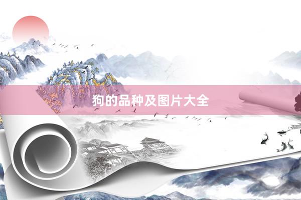 狗的品种及图片大全